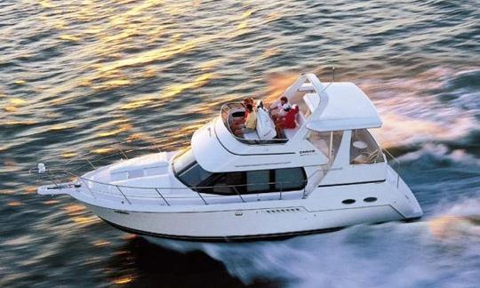 Best Deal out there! 41ft. Carver Motor Yacht Charter on Lake Texoma