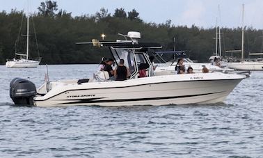 Sandbar/island Hopping Experience with Hydrasports 28 Center Console