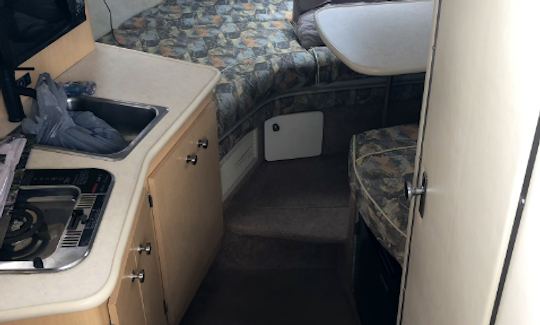 Lake Travis Cabin Cruiser