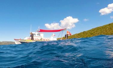 Croisière de plongée avec tuba de 3 heures sur l'île et le parc marin d'Alonissos