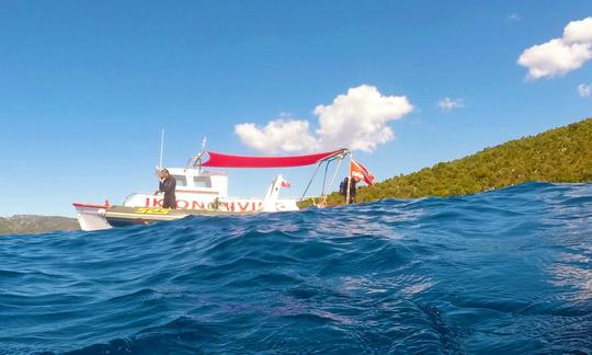 3hrs Snorkeling Cruise in Alonissos island and Marine Park