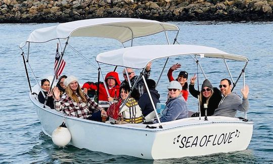 12 Person Electric Duffy Boat Rental in Marina del Rey, California