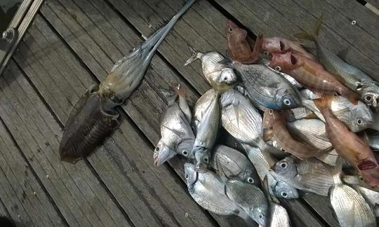 Viagens emocionantes de pesca em alto mar em Lagos, Portugal