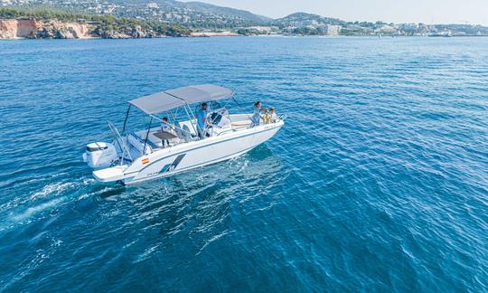 Paseo en barco privado por la bahía de Palma.