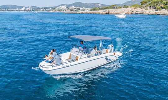 Paseo en barco privado por la bahía de Palma.