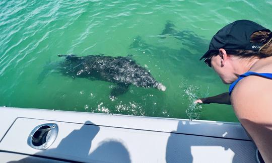 Aventure en bateau à moteur bimoteur à Cape Coral et aux environs de Barrier Island