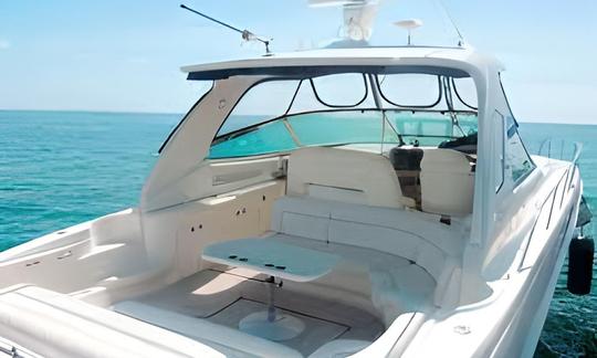 Yate a motor Sea Ray 46 con una tripulación increíble en Pasito Blanco