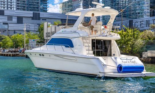 Alquile mi hermoso yate a motor Sea Ray Sedan Bridge de 50 pies en Miami, Florida