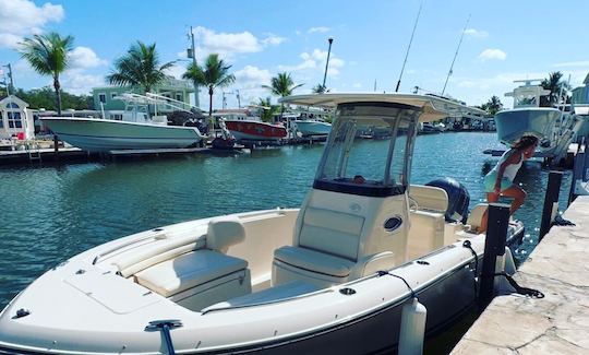 23 Foot Grady White Available to Rent In Key Largo Florida