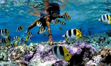 Snorkeling in Bentota, Sri Lanka