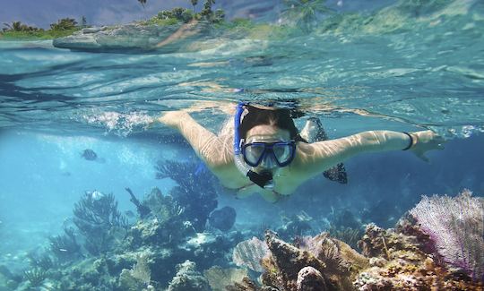 Snorkeling in Unawatuna, Sri Lanka