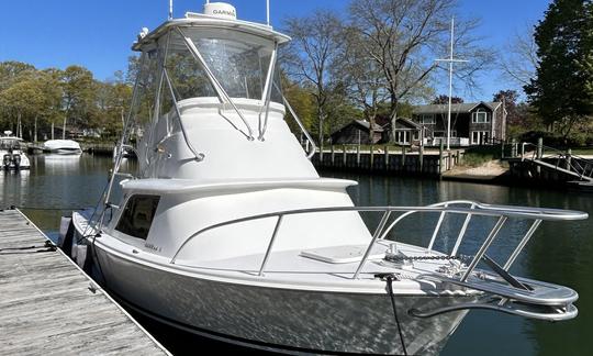 31' Bertram Classic avec le capitaine. Greenport, New York