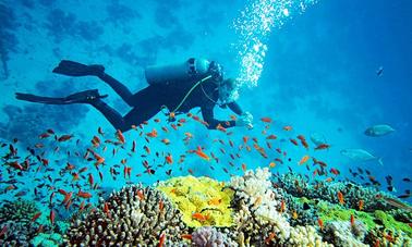 Mergulho em Mirissa, Sri Lanka