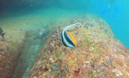 Mergulho com snorkel em Hikkaduwa, Sri Lanka