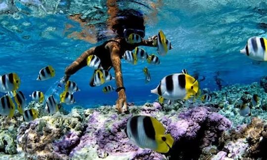 Snorkeling in Unawatuna, Sri Lanka