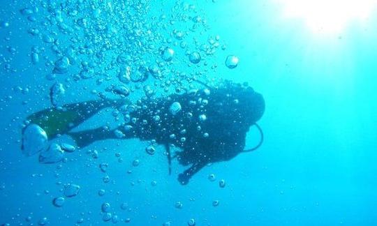 Buceo en Negombo, Sri Lanka