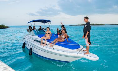 Location d'un mini-yacht de luxe Searay Sundancer