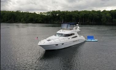 Yacht à moteur Sealine Flybridge de 50 pieds pour une escapade amusante à Aventura, en Floride