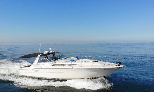 Sea Ray Sundancer 460 à Puerto Vallarta, Jalisco