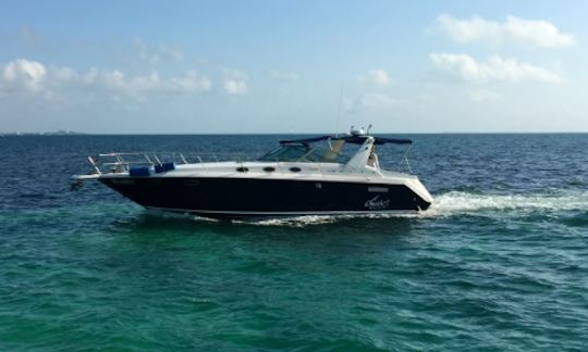 Yacht privé Sea Ray 38 »