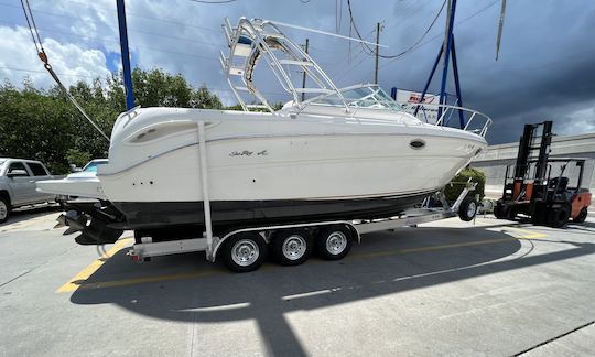 Location de yacht à moteur Searay Amberjack 290 à Dunedin, en Floride