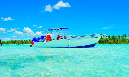 Saona Party Boat for Small Group