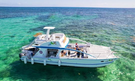 Catamarán Party Boat en República Dominicana