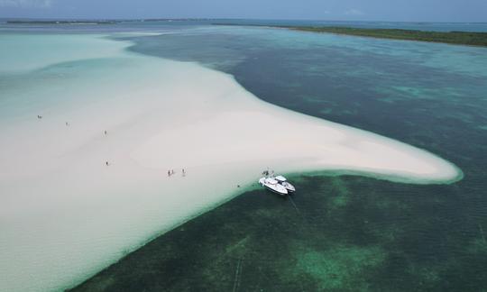 Harbour Island, 33' Intrepid VIP Full Day Crewed Boat Charter