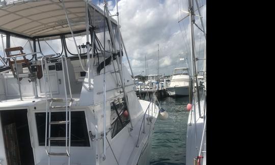 Fishing Charter On 38ft "Mornin' Ride" Yacht Nassau, The Bahamas