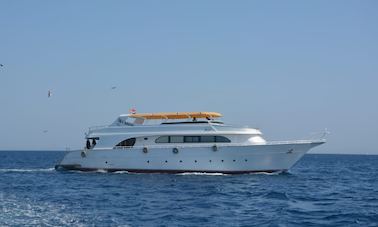 Excursion de plongée dans le gouvernorat de la mer Rouge, en Égypte