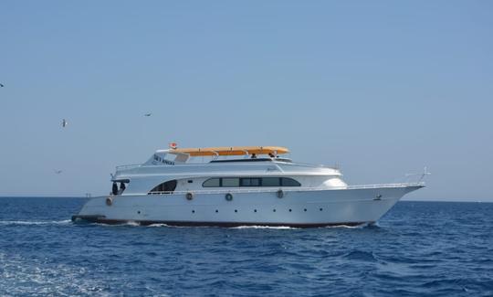 Excursion de plongée dans le gouvernorat de la mer Rouge, en Égypte