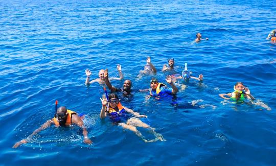 Excursion de plongée dans le gouvernorat de la mer Rouge, en Égypte