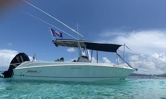 Fun for 6 on a 23’ Boston Whaler Power Boat in Fajardo