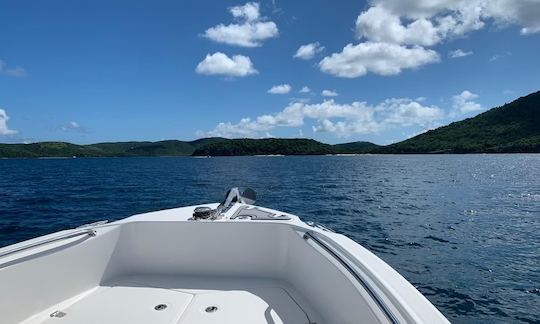 Fun for 6 on a 23’ Boston Whaler Power Boat in Fajardo