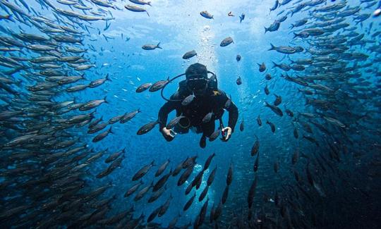 Viagens diárias de mergulho nas Ilhas Galápagos