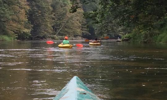 Kayak en tandem avec huard dans la vieille ville de Maryville