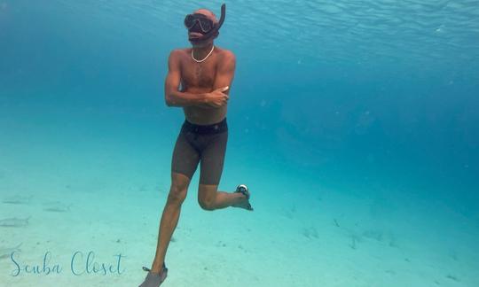 Snorkel Bonaire from the shore 