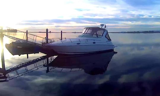 Alquiler del yate a motor Cruiser's Yachts 2870 Express en Stockton, California