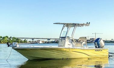 Charleston's Private Customizable Charter! Dolphins*Shark Teeth*Sunset*Harbor*