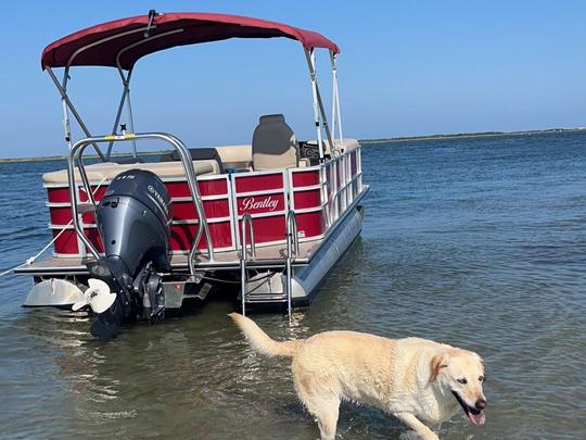 Private pontoon boat rides on the barnegat bay