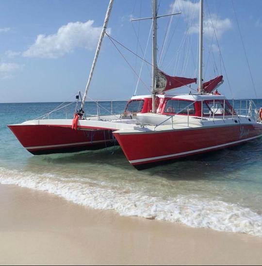 50ft Catamaran sail experience in Aruba. OPEN BAR AND BBQ included!!