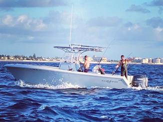 2008 sailfish 2660 pesca/cruzeiro