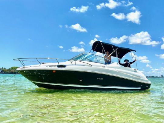 Un día perfecto en el agua: alquiler de crucero SeaRay Cabin Cruiser de 24 pies