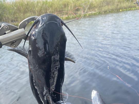 Cat Fishing Tour in the Everglades - 22ft Carolina Skiff