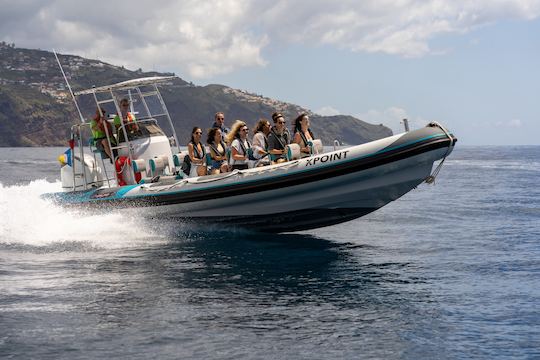 Aluguer de lanchas RIB - Mergulho com snorkel e relaxamento na costa da Madeira