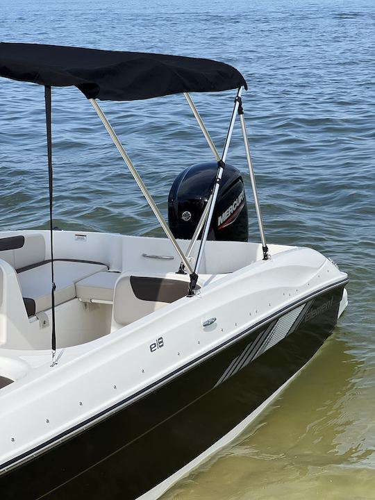 Bayliner E18 de Tampa Bay 2023