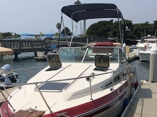 Le roi des bateaux, bateau à moteur Sea Ray Sundancer de 25 pieds à Huntington Beach