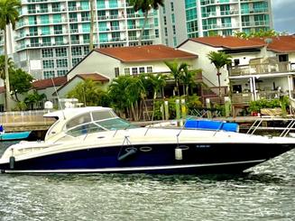 1 Hour free - Yacht in Miami: Sea Ray Sundancer 50ft