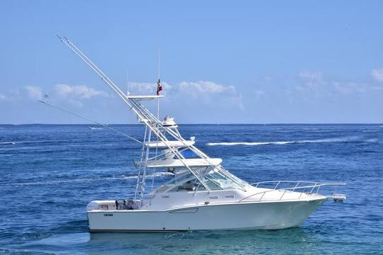 ¡Aventura de pesca deportiva en Cabo San Lucas a bordo de Pescado Grande!