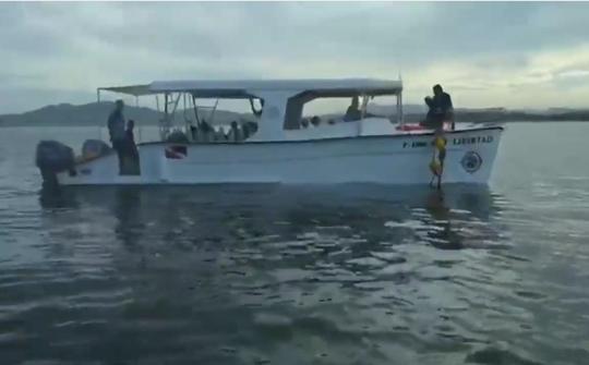 Location de plongée en bateau à double moteur à Tamarindo, Costa Rica - Excursion de plongée